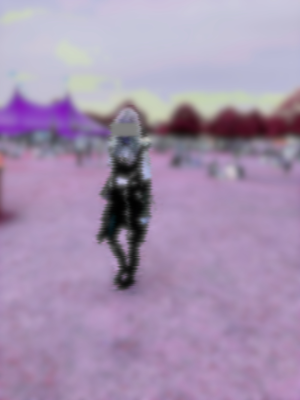 festival